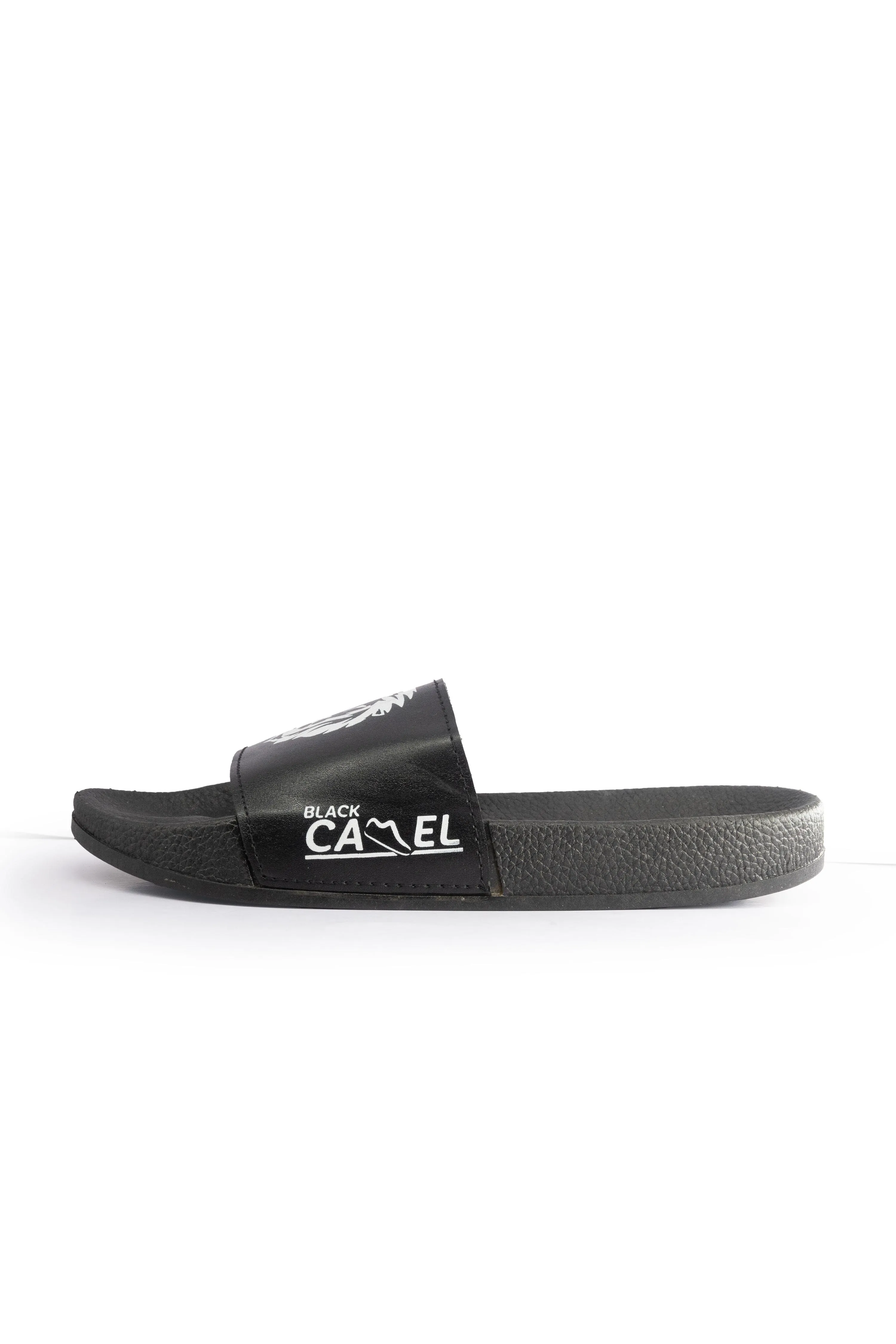 Black Camel Men's Lion Printed Slides