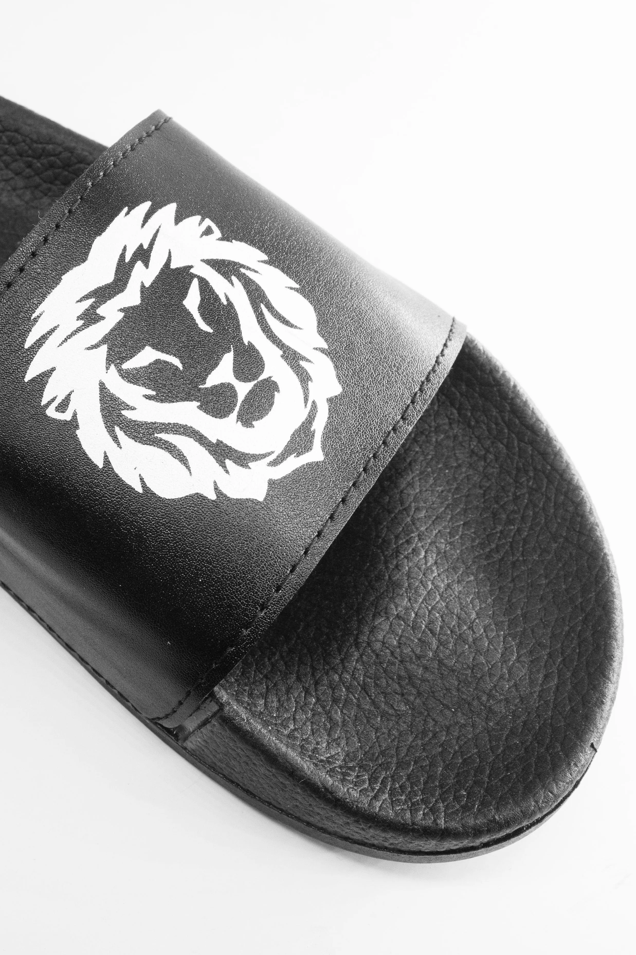 Black Camel Men's Lion Printed Slides